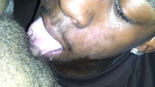 بلی کودو اور پونڈ کے لئے شوقین