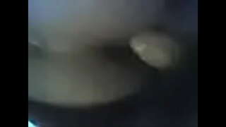 ���ேம் கழுதை-எப் 2