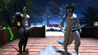 ō�夜会议2(毛茸茸/Yiff)